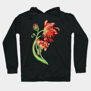 A full tulip Hoodie